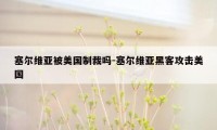 塞尔维亚被美国制裁吗-塞尔维亚黑客攻击美国