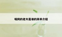 暗网的老大是谁的简单介绍