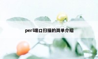 perl端口扫描的简单介绍