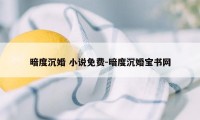 暗度沉婚 小说免费-暗度沉婚宝书网