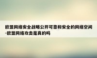 欧盟网络安全战略公开可靠和安全的网络空间-欧盟网络攻击是真的吗