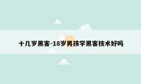 十几岁黑客-18岁男孩学黑客技术好吗