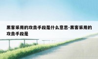 黑客采用的攻击手段是什么意思-黑客采用的攻击手段是