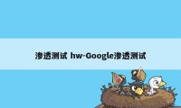 渗透测试 hw-Google渗透测试