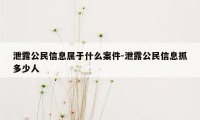 泄露公民信息属于什么案件-泄露公民信息抓多少人