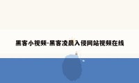 黑客小视频-黑客凌晨入侵网站视频在线