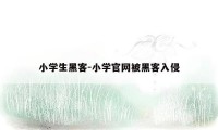 小学生黑客-小学官网被黑客入侵