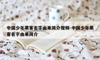 中国少年黑客名字由来简介视频-中国少年黑客名字由来简介