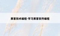 黑客技术编程-学习黑客软件编程